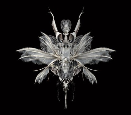 Urgences et psychotraumatisme : au cœur du choc Urgences et psychotraumatisme : au cœur du choc