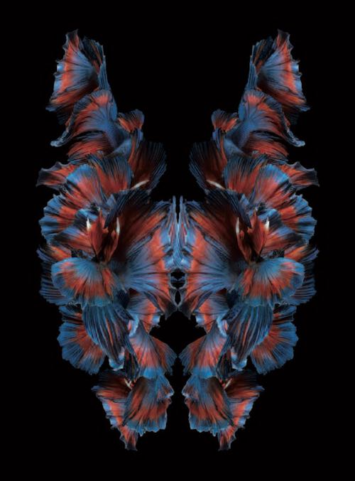 Brainspotting : quand le regard ouvre la voie à la guérison