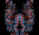 https://www.emdr.fr/Brainspotting-acces-et-retraitement-des-memoires-traumatiques-Reparer-les-cerveaux-pour-guerir_a230.html