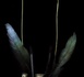 https://www.emdr.fr/Psychotraumatisme-comprendre-pour-accompagner-vers-la-devictimisation_a269.html