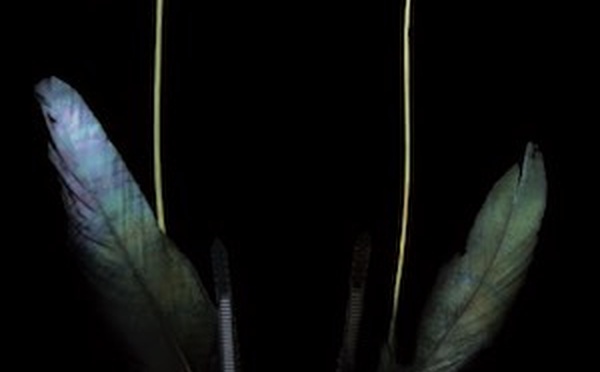 Psychotraumatisme : comprendre pour accompagner vers la dévictimisation.